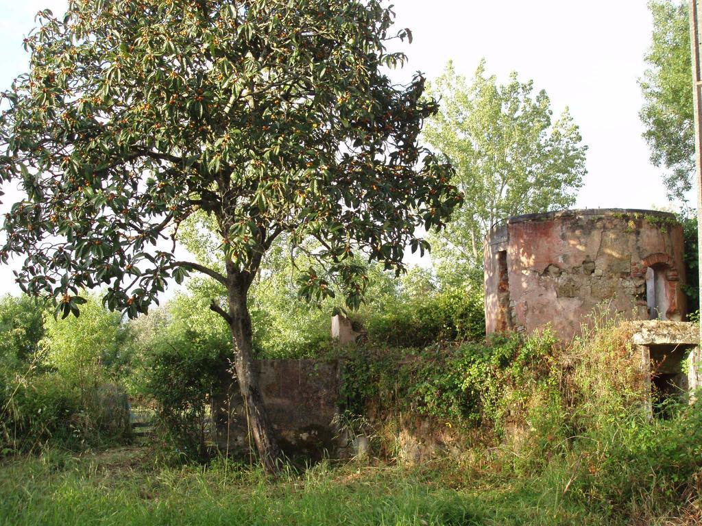 Hôtel Casal Da Juge à Torres Novas Extérieur photo